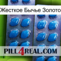 Жесткое Бычье Золото viagra2